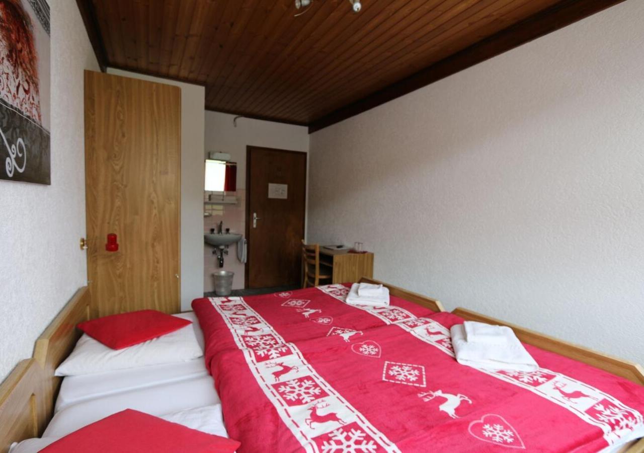 Hotel Des Portes Du Soleil Ле Крозе Екстериор снимка